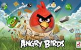 Angry-birds-wallpaper